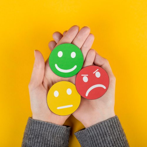 leitura indispensável para quem deseja entender melhor como as emoções influenciam nossas vidas.