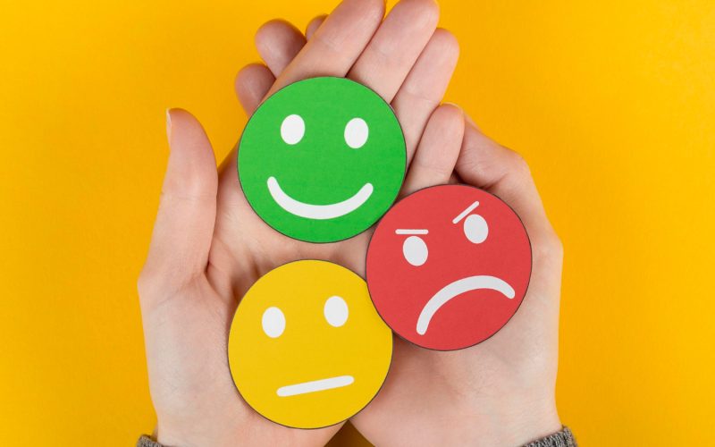 leitura indispensável para quem deseja entender melhor como as emoções influenciam nossas vidas.